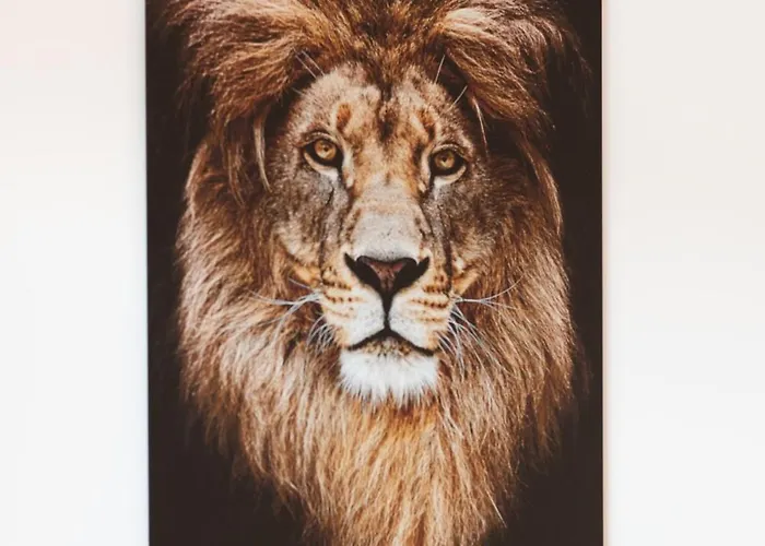 Daire Gms With Sea View